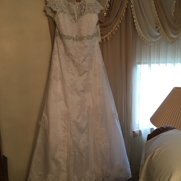 Wedding Gown, Tiara, And veil.. the whole package - Picture 6 of 8